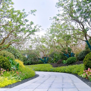 別墅庭院設(shè)計(jì)的后期如何養(yǎng)護(hù)舍生取义？